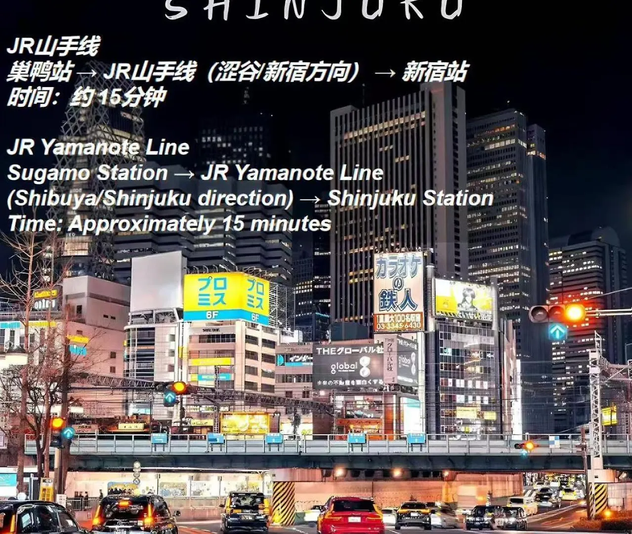 Love Yamanote Sugamo Dia Estates Tokyo Apartment
